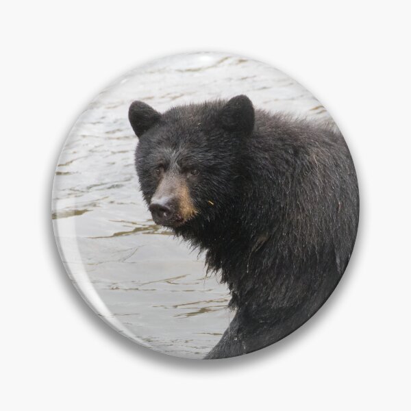 Item preview, American Black Bear designed and sold by LaurenTucker.