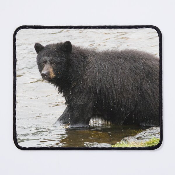 Item preview, American Black Bear designed and sold by LaurenTucker.