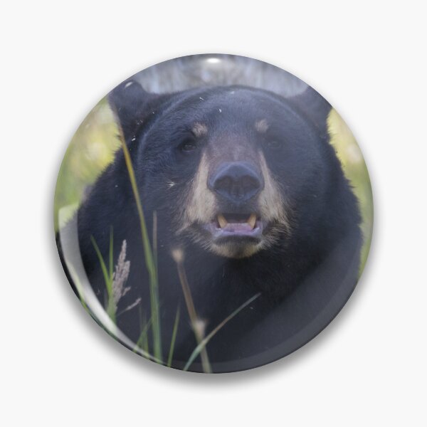 Item preview, American Black Bear designed and sold by LaurenTucker.