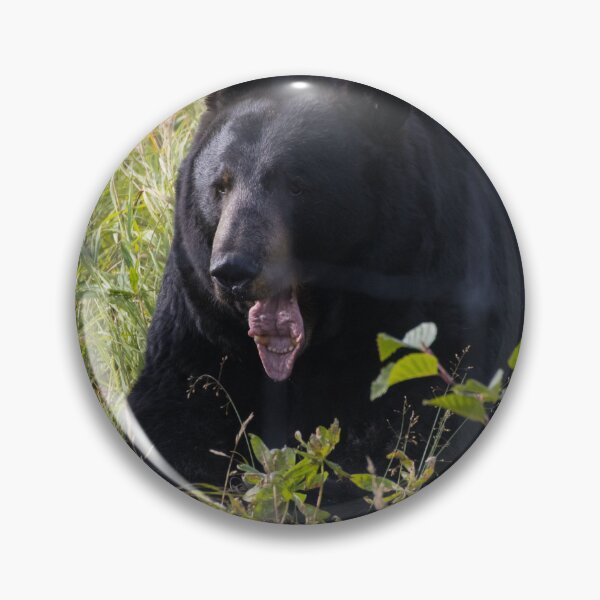 Item preview, American Black Bear designed and sold by LaurenTucker.
