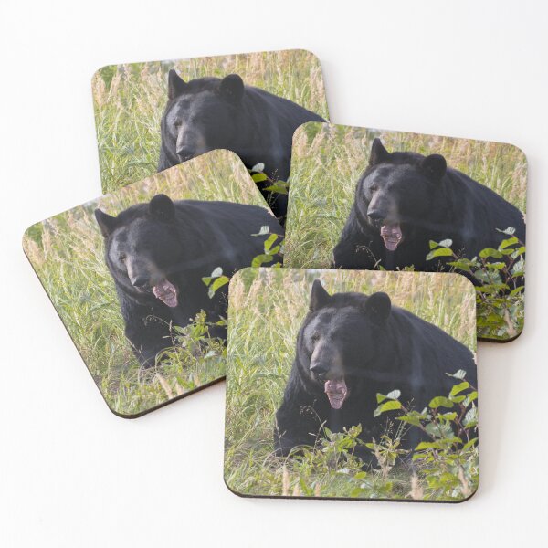 Item preview, American Black Bear designed and sold by LaurenTucker.