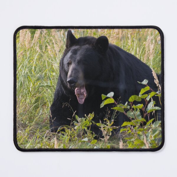 Item preview, American Black Bear designed and sold by LaurenTucker.