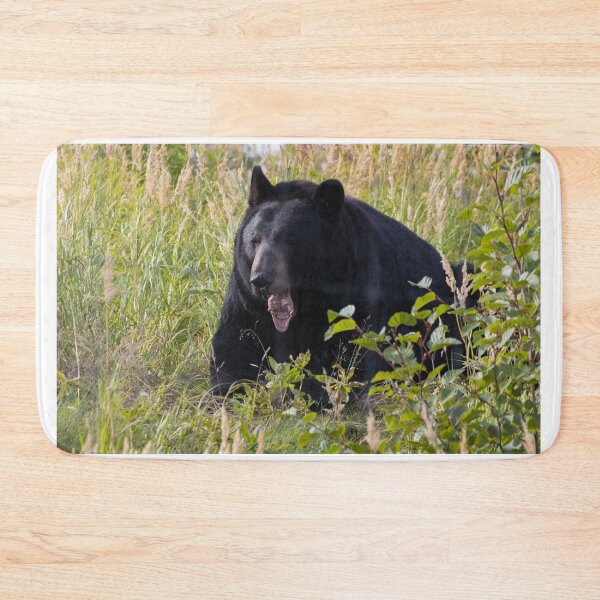 Item preview, American Black Bear designed and sold by LaurenTucker.