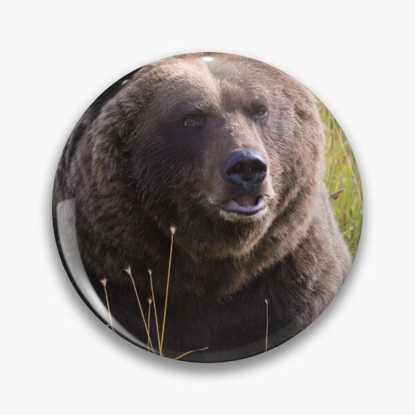 Item preview, Brown Bear - Ursus arctos designed and sold by LaurenTucker.