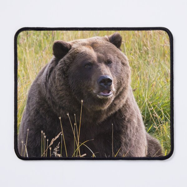 Item preview, Brown Bear - Ursus arctos designed and sold by LaurenTucker.