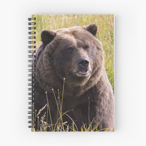 Item preview, Brown Bear - Ursus arctos designed and sold by LaurenTucker.