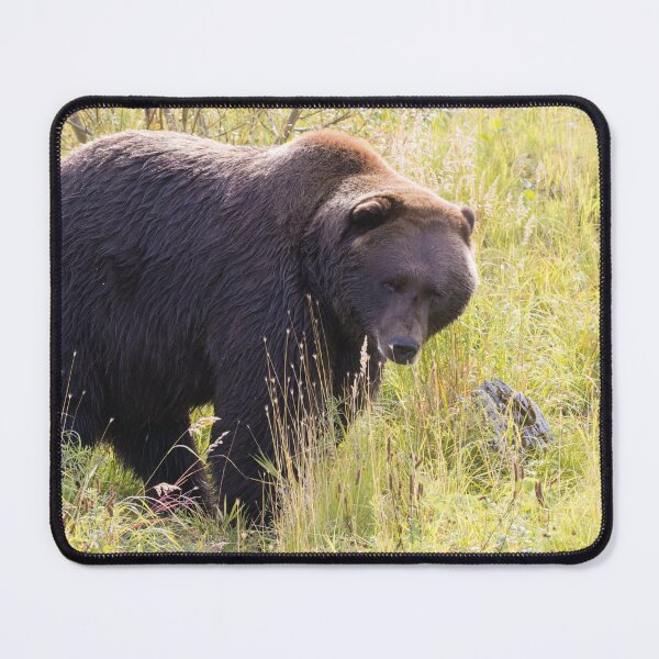 Item preview, Brown Bear designed and sold by LaurenTucker.