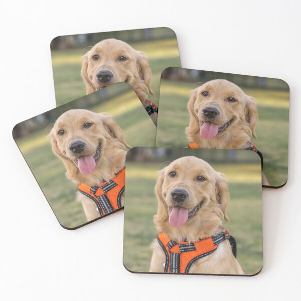 Item preview, Happy Golden Retriever Wearing Orange Harness designed and sold by VanGaldo.