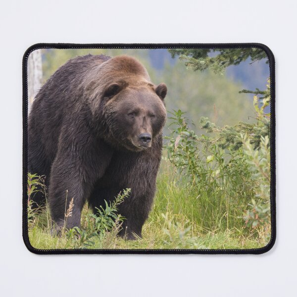 Item preview, Brown Bear designed and sold by LaurenTucker.