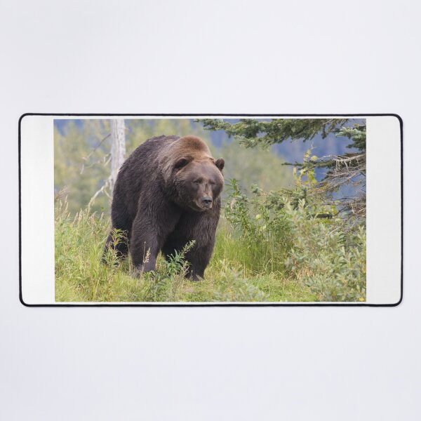 Item preview, Brown Bear designed and sold by LaurenTucker.