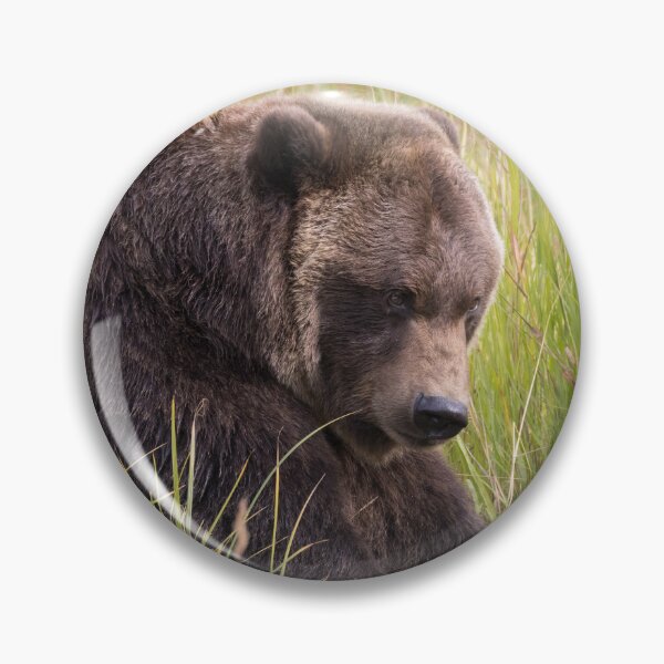 Item preview, Brown Bear designed and sold by LaurenTucker.