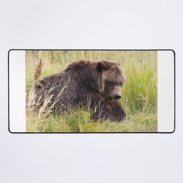 Item preview, Brown Bear designed and sold by LaurenTucker.