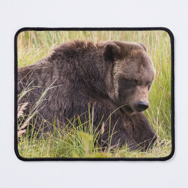 Item preview, Brown Bear designed and sold by LaurenTucker.