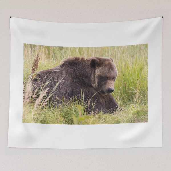 Item preview, Brown Bear designed and sold by LaurenTucker.