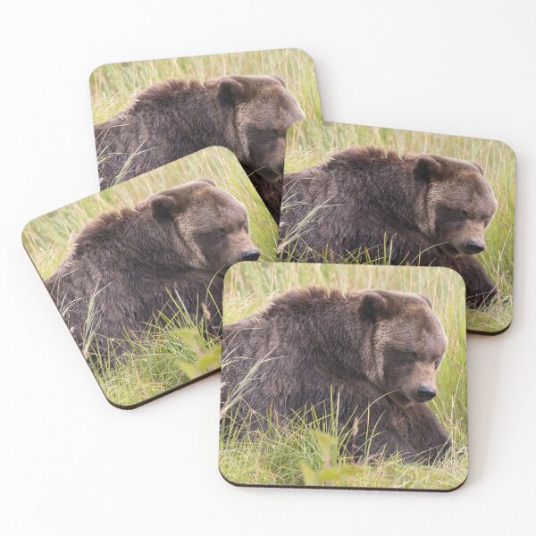 Item preview, Brown Bear designed and sold by LaurenTucker.
