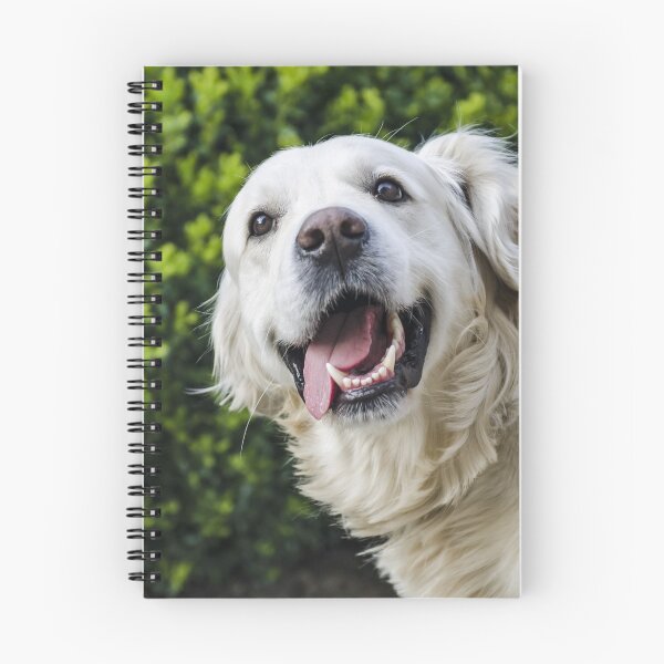 Artikelvorschau, Fröhlicher weißer Golden Retriever mit herausgestreckter Zunge entworfen und verkauft von VanGaldo.