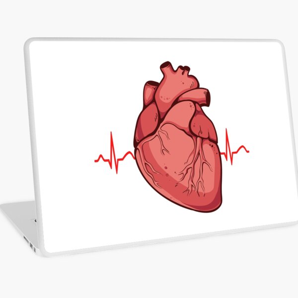 should i get a mac or pc for medical school