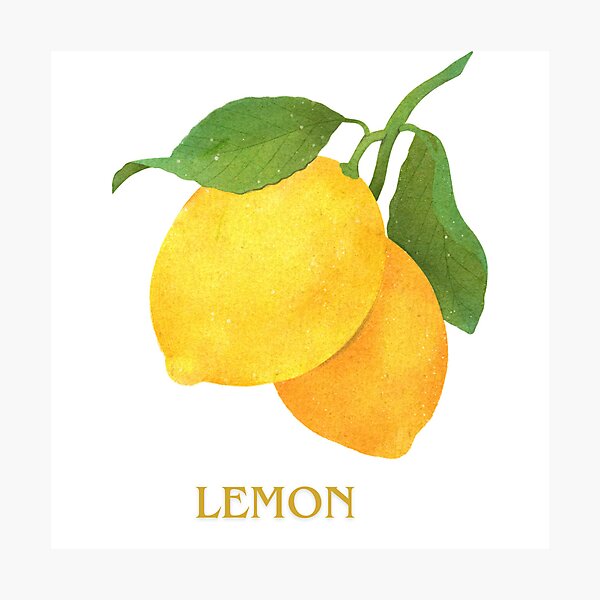 Item preview, Fresh Lemon Aesthetic Art | Cute Citrus Summer Vibes designed and sold by Aytasi.