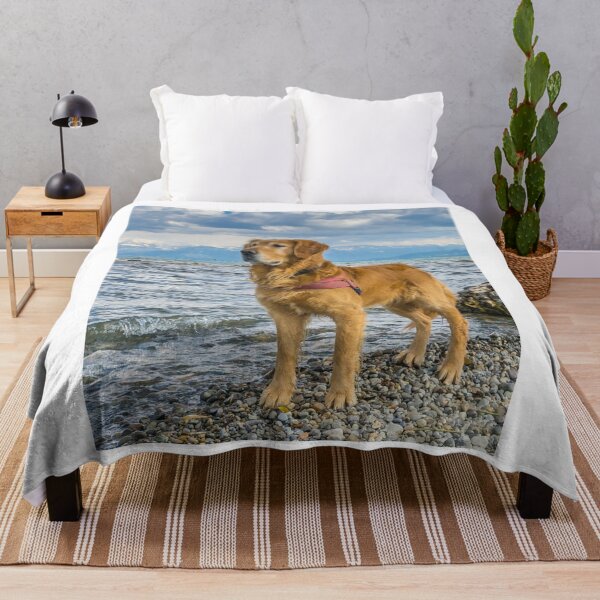 Item preview, Adventurous Golden Retriever At The Beach designed and sold by VanGaldo.