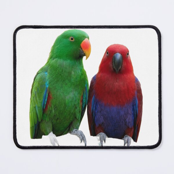 Item preview, Eclectus Parrots – Two Birds, One Species designed and sold by Helt-enkelt.