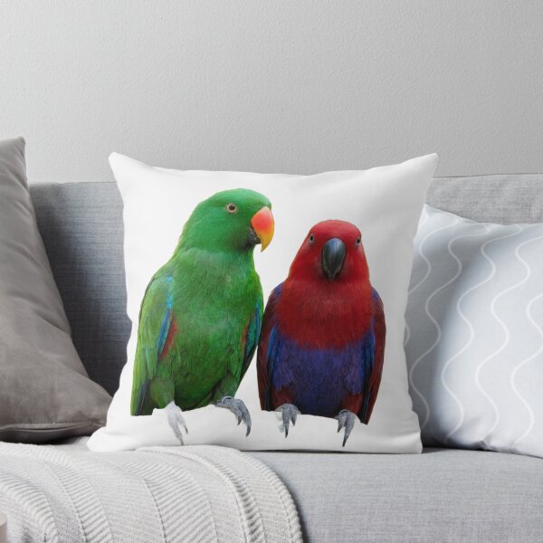 Item preview, Eclectus Parrots – Two Birds, One Species designed and sold by Helt-enkelt.