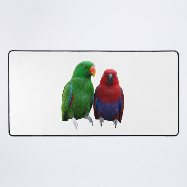 Item preview, Eclectus Parrots – Two Birds, One Species designed and sold by Helt-enkelt.