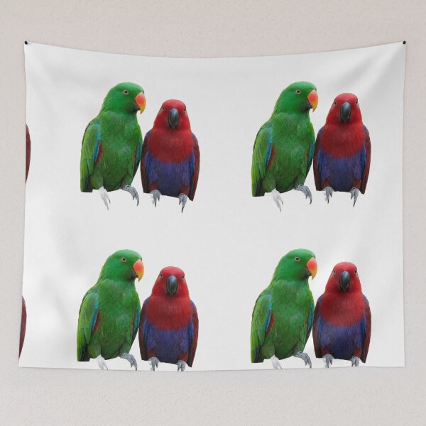 Item preview, Eclectus Parrots – Two Birds, One Species designed and sold by Helt-enkelt.