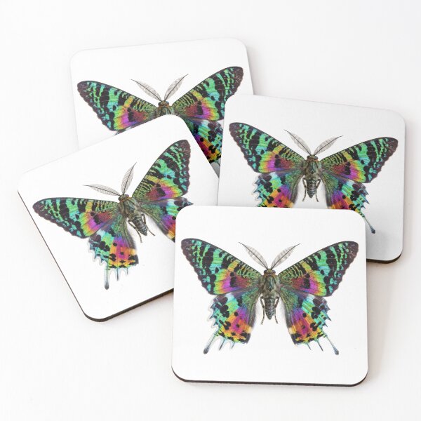 Item preview, Madagascan Sunset Moth – Vivid Rainbow Portrait designed and sold by Helt-enkelt.
