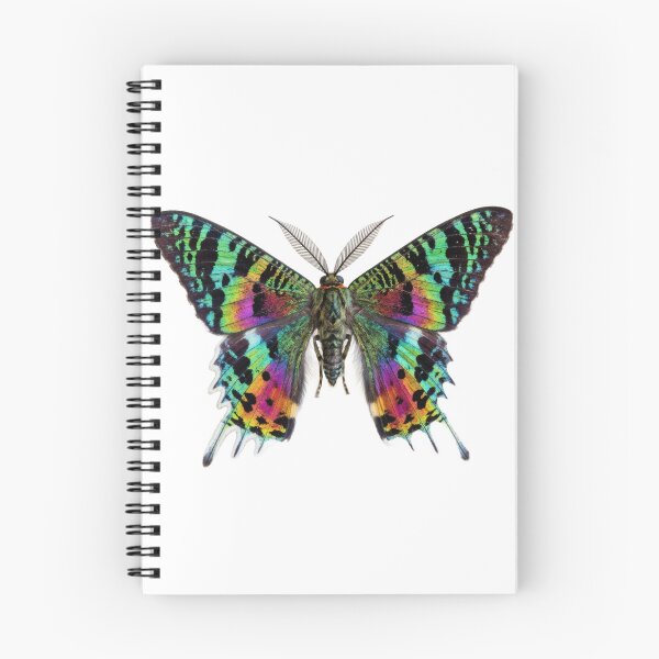 Item preview, Madagascan Sunset Moth – Vivid Rainbow Portrait designed and sold by Helt-enkelt.