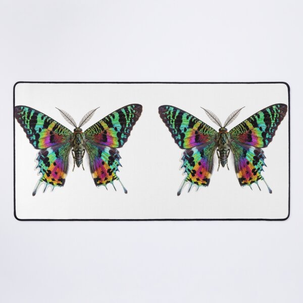 Item preview, Madagascan Sunset Moth – Vivid Rainbow Portrait designed and sold by Helt-enkelt.
