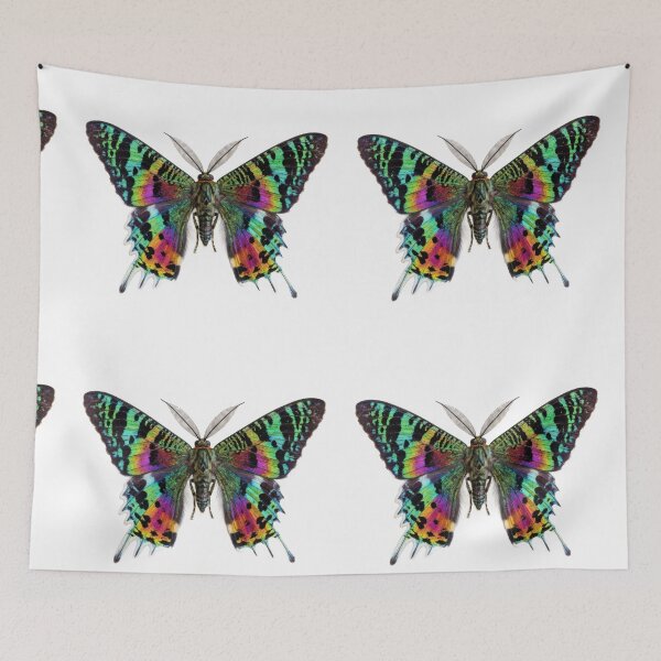 Item preview, Madagascan Sunset Moth – Vivid Rainbow Portrait designed and sold by Helt-enkelt.