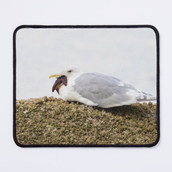 Item preview, Glaucous Winged Gull - Larus glaucescens designed and sold by LaurenTucker.