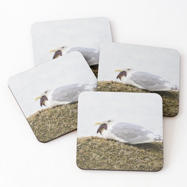 Item preview, Glaucous Winged Gull - Larus glaucescens designed and sold by LaurenTucker.