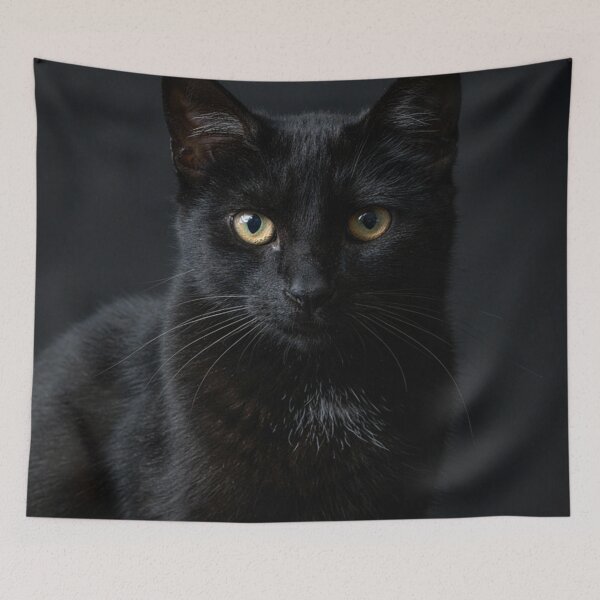 Item preview, Black Cat Gothic Portrait – Dark Animal Fine Art designed and sold by JanjjaSoulInk.
