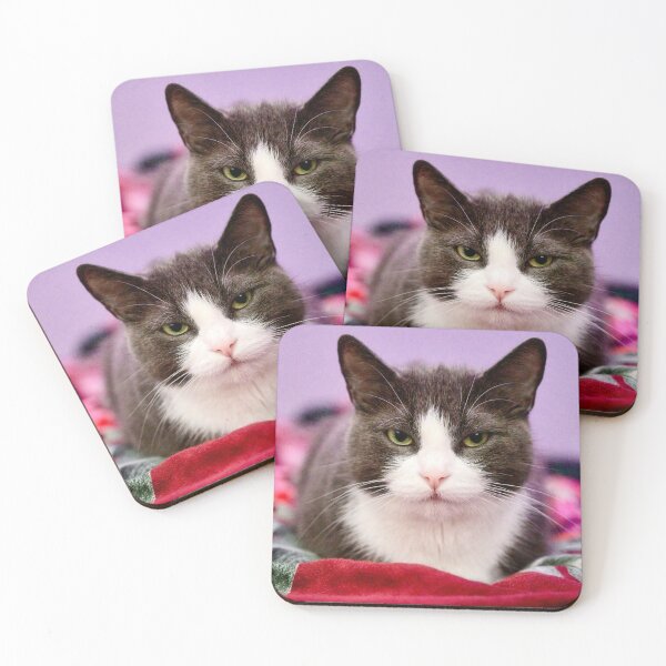 Item preview, Cat on the bed designed and sold by Mikko  Suhonen.
