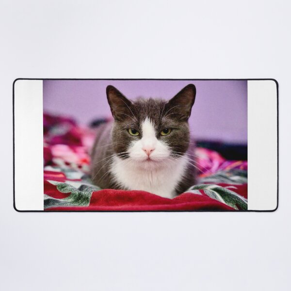 Item preview, Cat on the bed designed and sold by Mikko Suhonen.