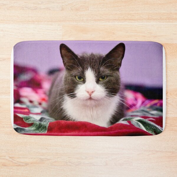 Item preview, Cat on the bed designed and sold by Mikko  Suhonen.