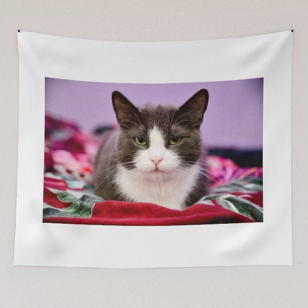 Item preview, Cat on the bed designed and sold by Mikko  Suhonen.