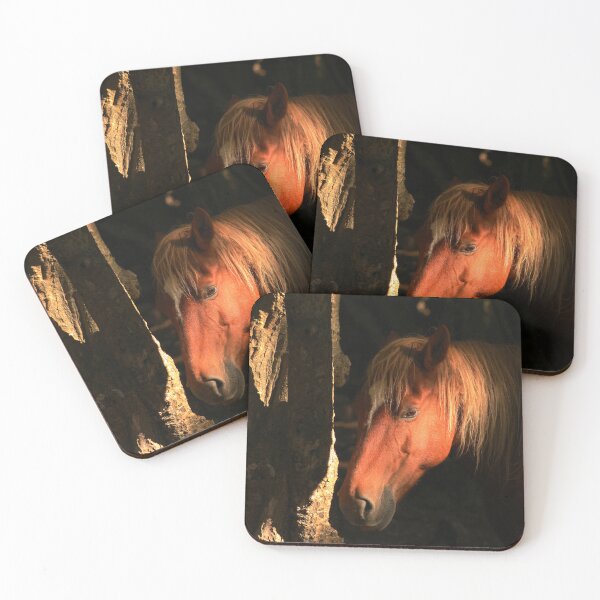 Item preview, New Forest Pony. Hampshire England designed and sold by BoswellArt.