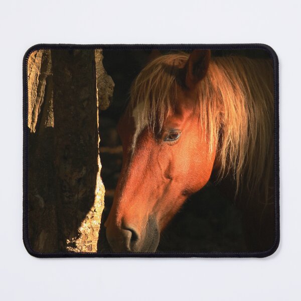 Item preview, New Forest Pony. Hampshire England designed and sold by BoswellArt.