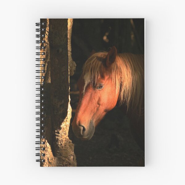 Item preview, New Forest Pony. Hampshire England designed and sold by BoswellArt.