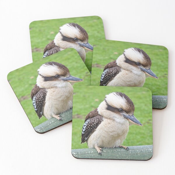 Item preview, Cute Kookaburra, wildlife portrait designed and sold by Astute-Artio-Photography.