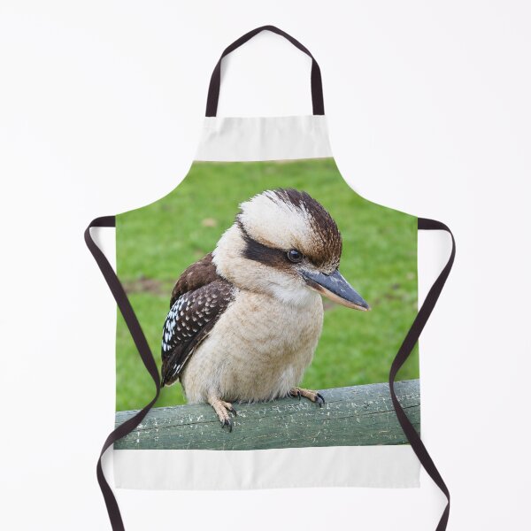 Item preview, Cute Kookaburra, wildlife portrait designed and sold by Astute-Artio-Photography.