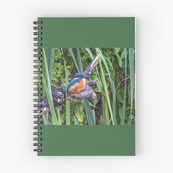 Item preview, Kingfisher designed and sold by deeve0.