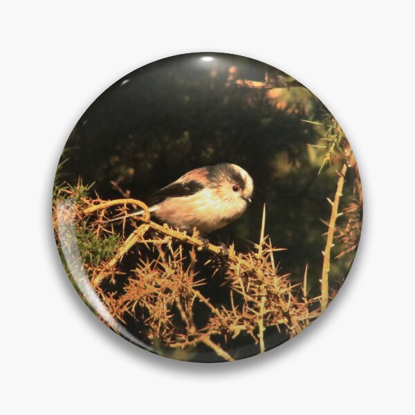 Item preview, Cute bird sat on branch in the New Forest, England designed and sold by BoswellArt.