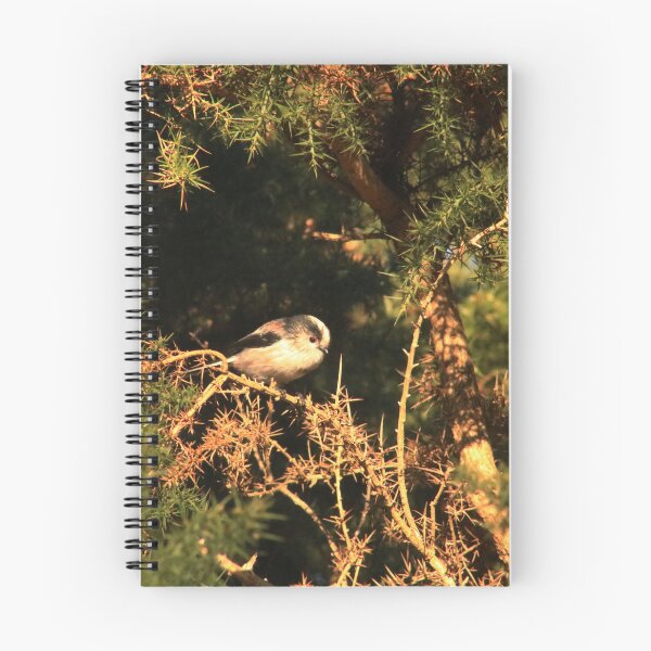 Artikelvorschau, Ein niedlicher Vogel saß auf einem Ast im New Forest, England. entworfen und verkauft von BoswellArt.
