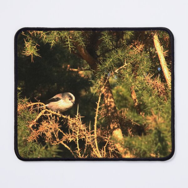 Item preview, Cute bird sat on branch in the New Forest, England designed and sold by BoswellArt.