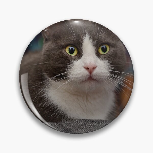 Item preview, Cat  designed and sold by Mikko  Suhonen.