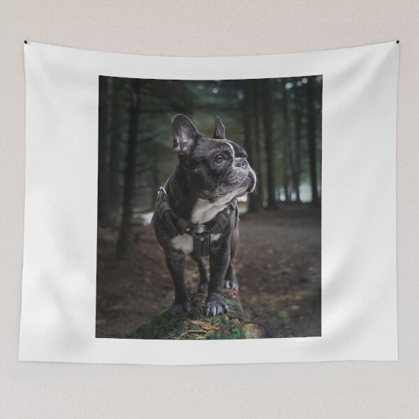 Item preview, Adventurous Black Frenchie In The Woods designed and sold by VanGaldo.