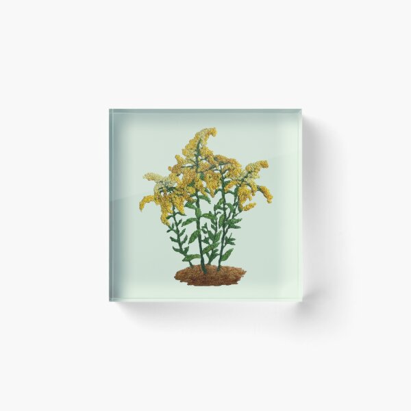 Item preview, Solidago gigantea embroidery designed and sold by Alsa.handembroidery.